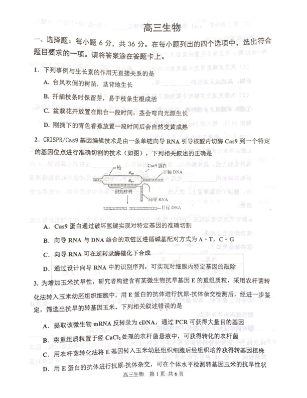 天津市红桥区2019届高三下学期第二次模拟考试理科综合试题 PDF版含答案