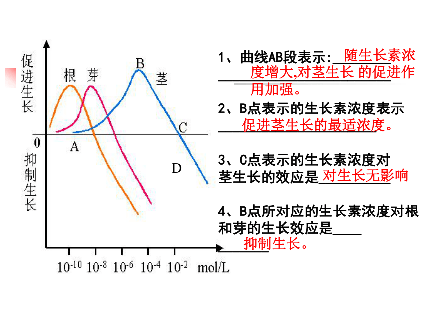 生长素