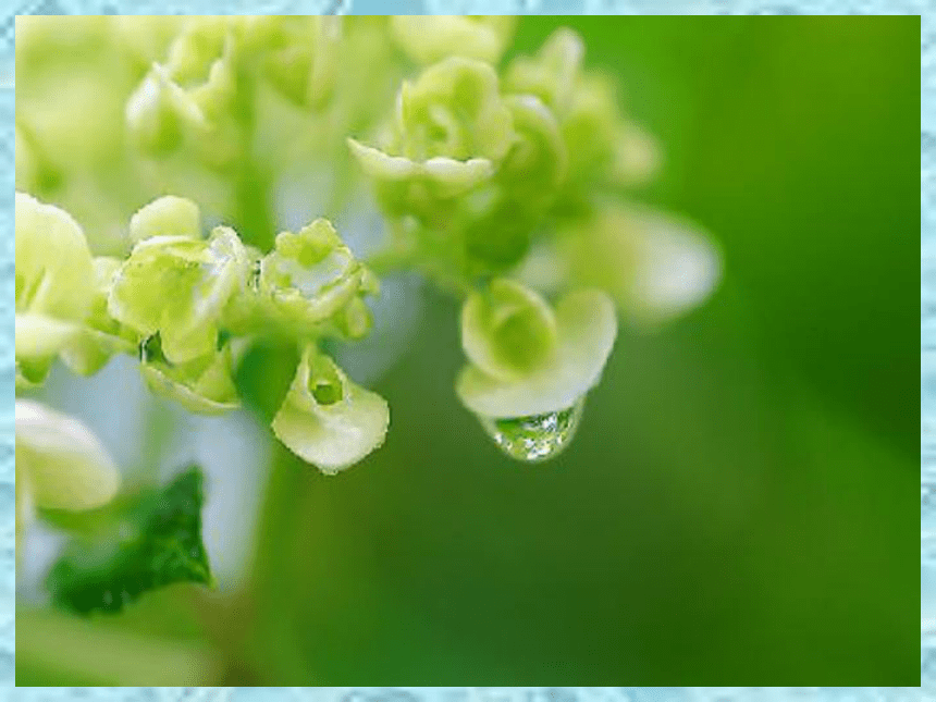 2《雨说》课件