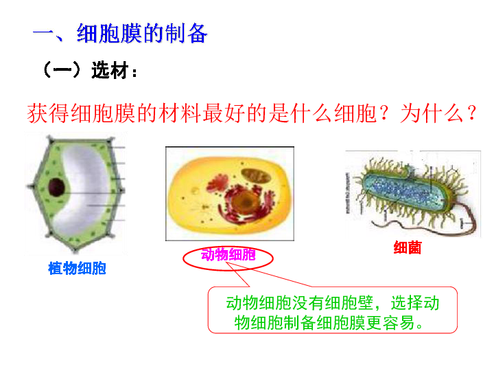 人教版高中生物必修一 3.1 细胞膜——系统的边界课件22PPT