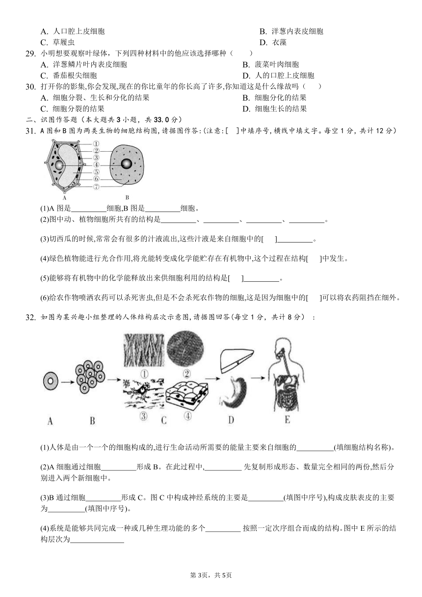 安徽省蚌埠田家炳中学20212022学年七年级上学期期中考试生物试题word