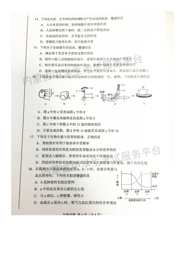 2020年内蒙古鄂尔多斯市中考生物试题（图片版，含答案）