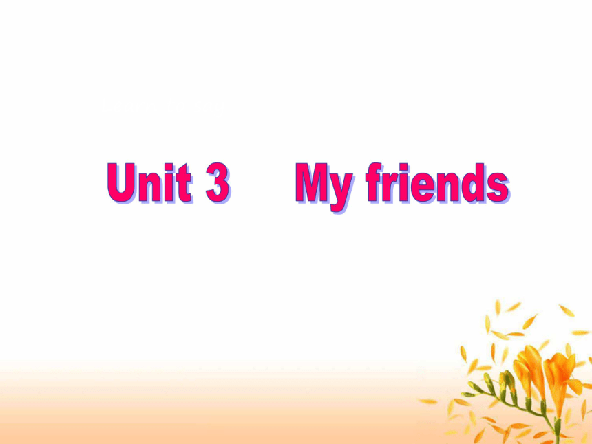 Unit 3 My friends 课件
