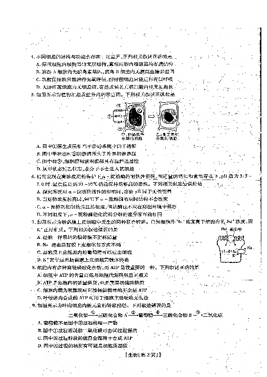 河南省滑县2019届高三第三次调研考试（三）生物试题 扫描版