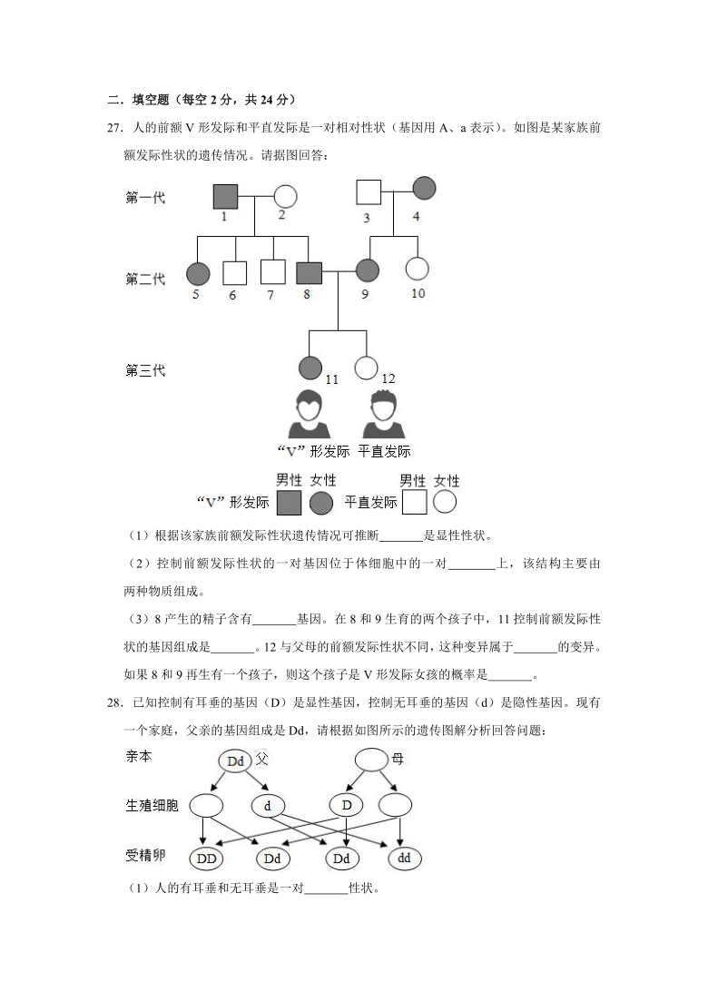 2020-2021學年人教版八年級生物下冊第二章 生物的遺傳與變異 測試卷