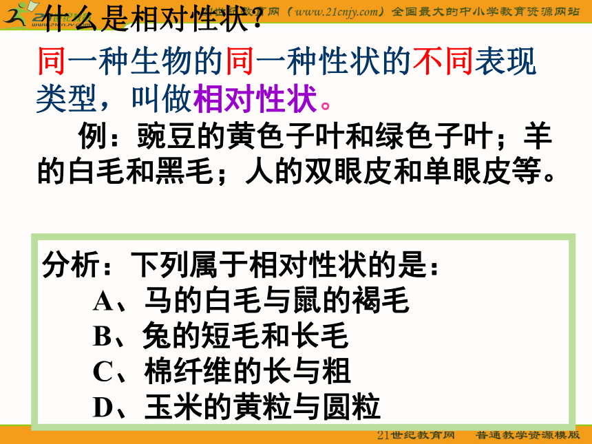 生物课件：《基因的分离定律》