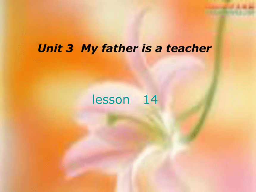 UNIT 3 My father is a teacher．Lesson 14