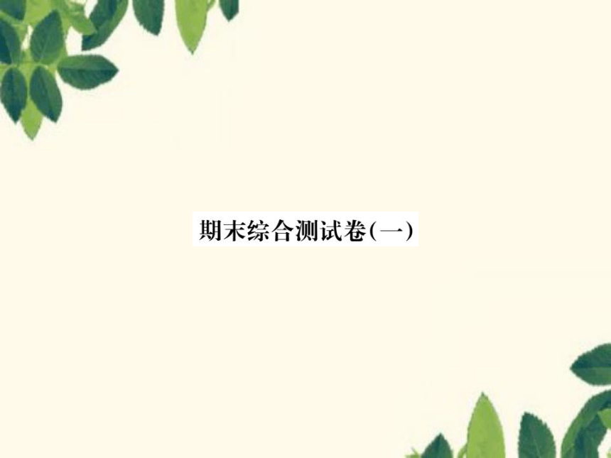 课件预览