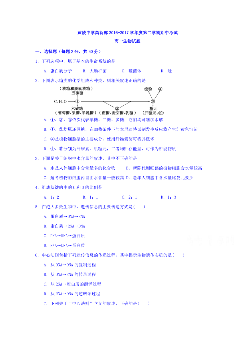 陕西省黄陵中学高新部2016-2017学年高一下学期期中考试生物试题