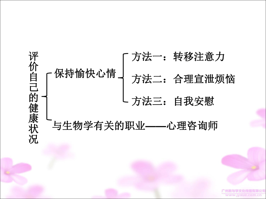 广东省中山市人教版2016年初中生物八年级下册复习课件  第八单元 第三章  了解自己，增进健康（共31张PPT）