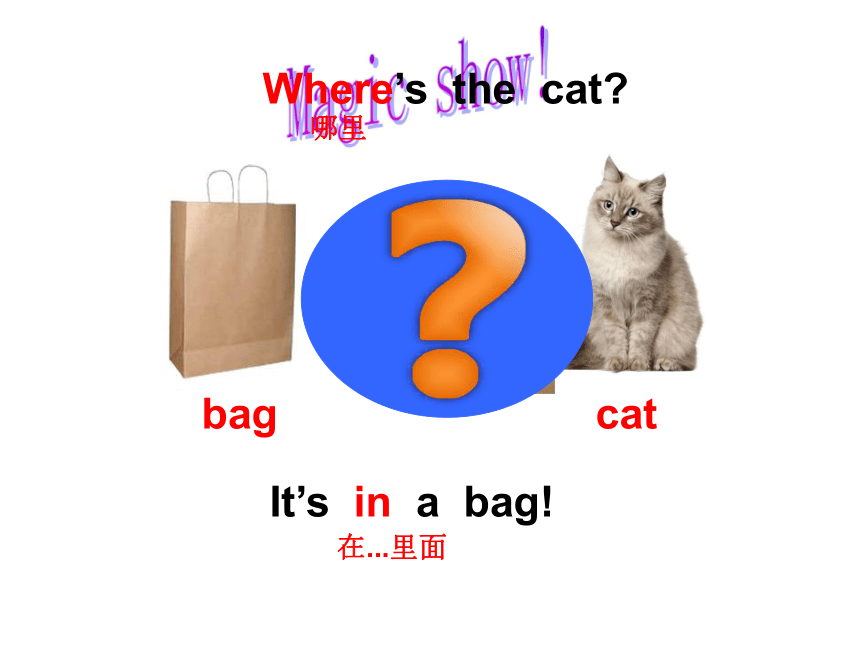 Unit 2 Where's the cat? 课件