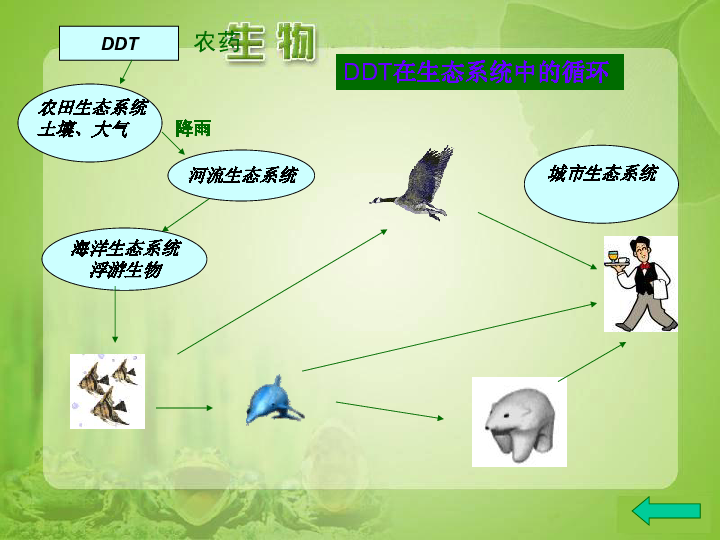 人教版生物七上123生物圈是最大的生态系统课件共33张ppt