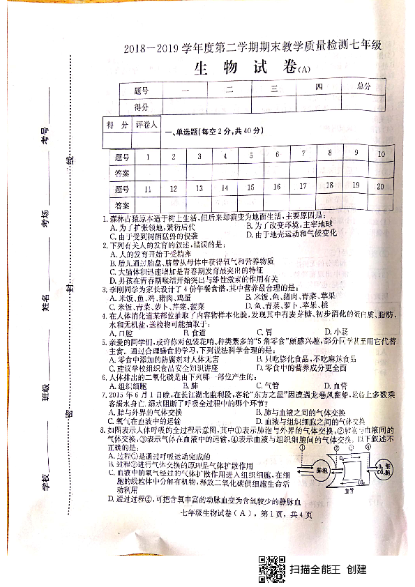 河北省石家庄市赵县2018-2019学年第二学期七年级生物期末考试试卷（扫描版含答案）