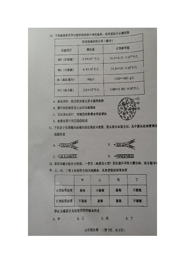 山西省灵石县2018-2019学年第二学期期末教学水平调研卷七年级生物（图片版含答案）