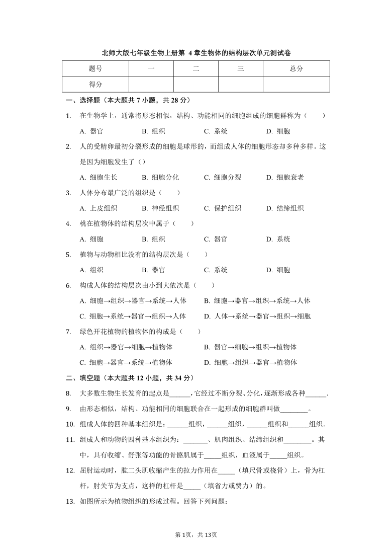 北师大版七年级生物上册 第4章 生物体的结构层次 单元测试卷（含解析）