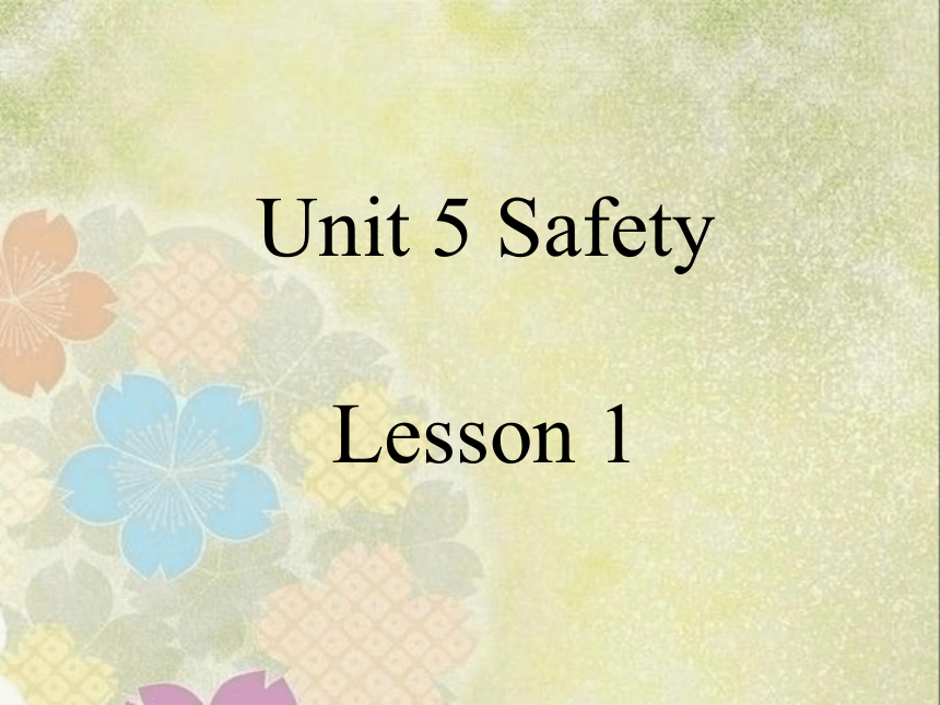 Unit 5 Safety Lesson 1 课件