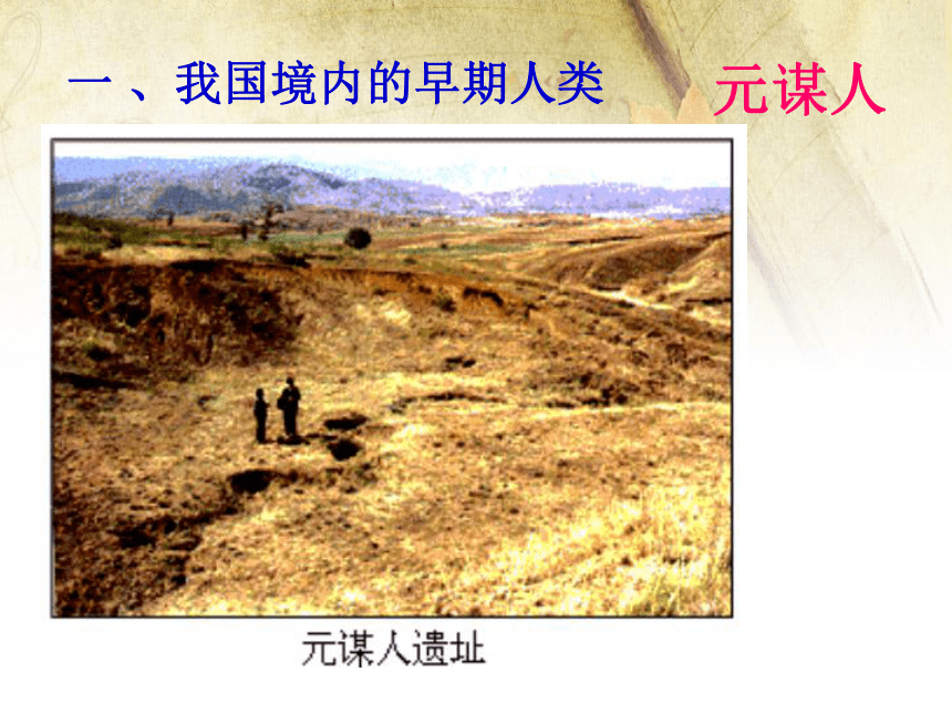 七年级上册历史第1课《中国早期人类的代表——北京人》课件 37张