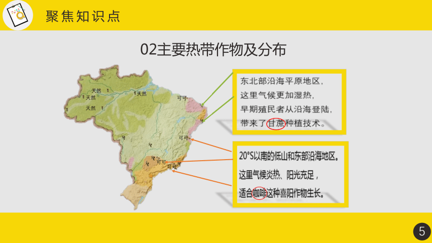 七下知识点课件92发展中的工农业巴西