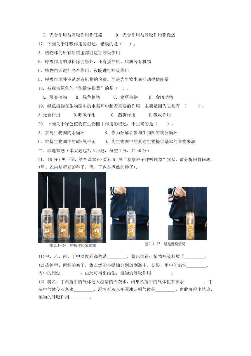 济南版七年级生物第一学期周清测试题八（考查范围：第二单元第一章第四节 绿色植物的呼吸作用）