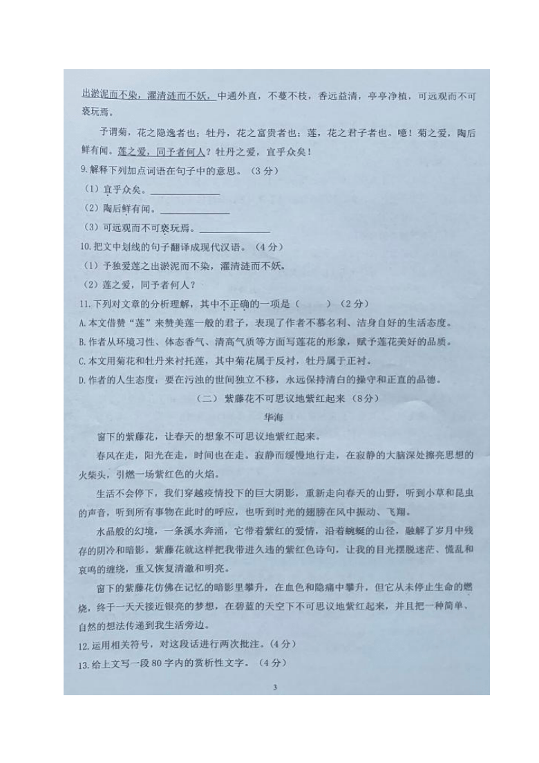广东省惠州市惠东县2020-2021学年七年级下学期期末考试语文试题（图片版，无答案）