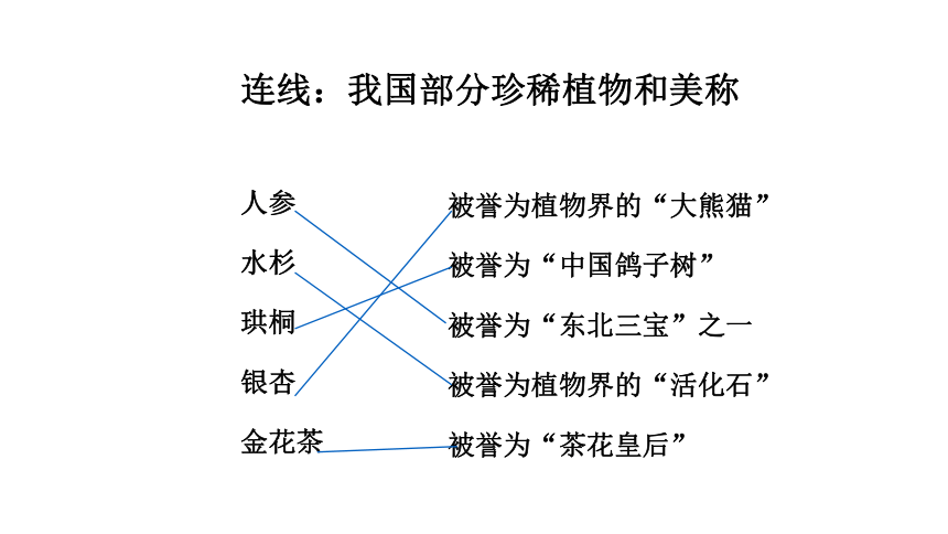 教科版（2001）六年级上册科学第四单元生物的多样性 复习 （课件37张ppt）