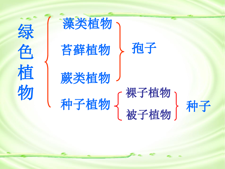 人教版八上6．1．1尝试对生物进行分类课件 （共35张PPT）