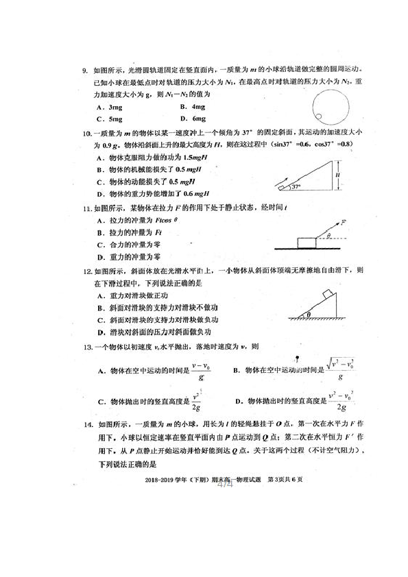 四川省雅安市2018-2019学年高一下学期期末考试物理试题 扫描版含答案