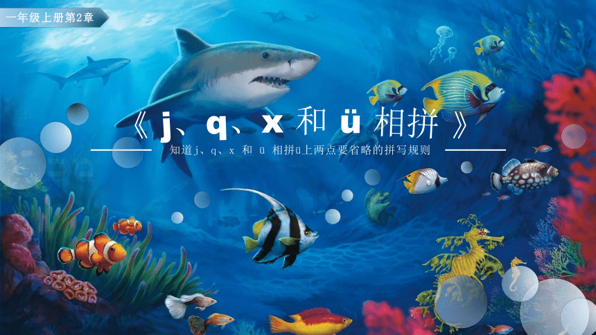 汉语拼音6jqx和ü相拼课件12张