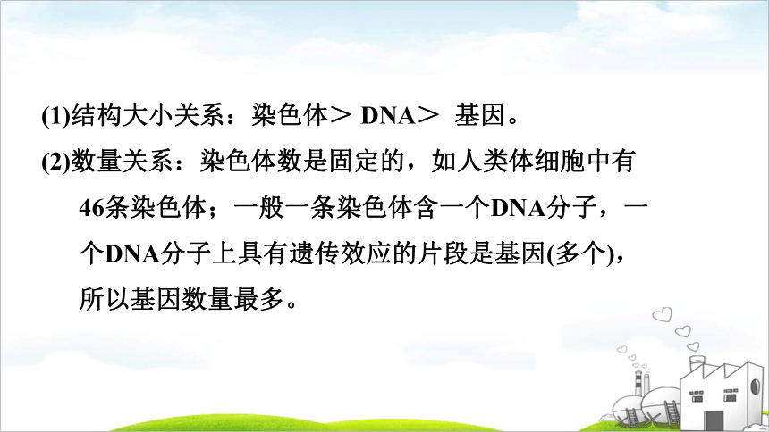 第16课时　生物的遗传和变异课件(共54张PPT)2022年福建中考生物考点梳理