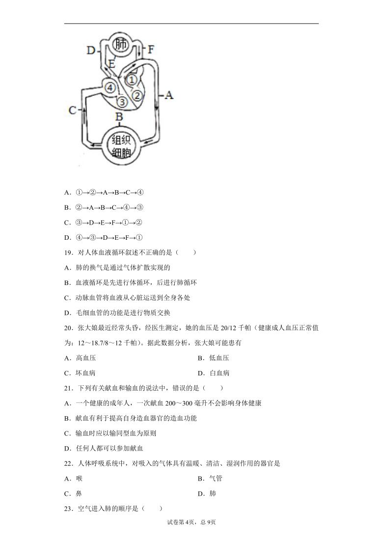 福建省龙岩市新罗区2020-2021学年七年级下学期期中生物试题（word版含解析）