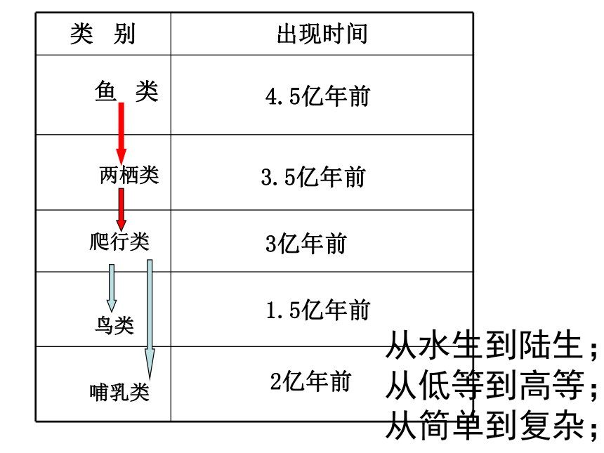 2.4 常见的动物