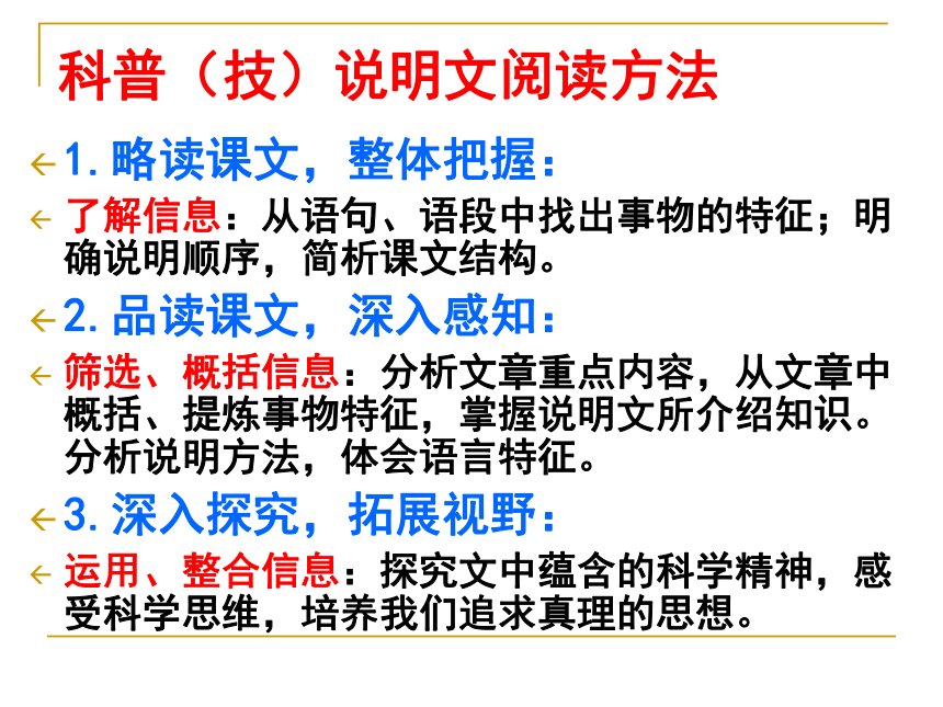 动物游戏之谜课件