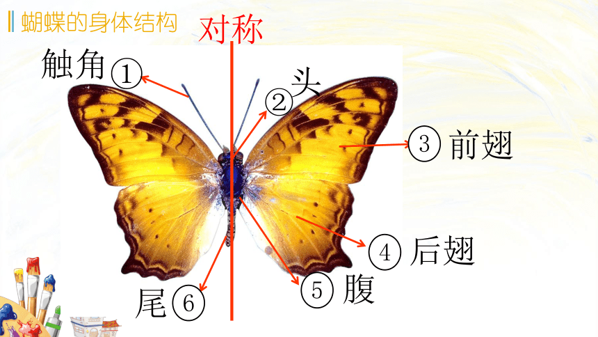 二年级下册美术课件5折剪蝴蝶浙美版共14张ppt