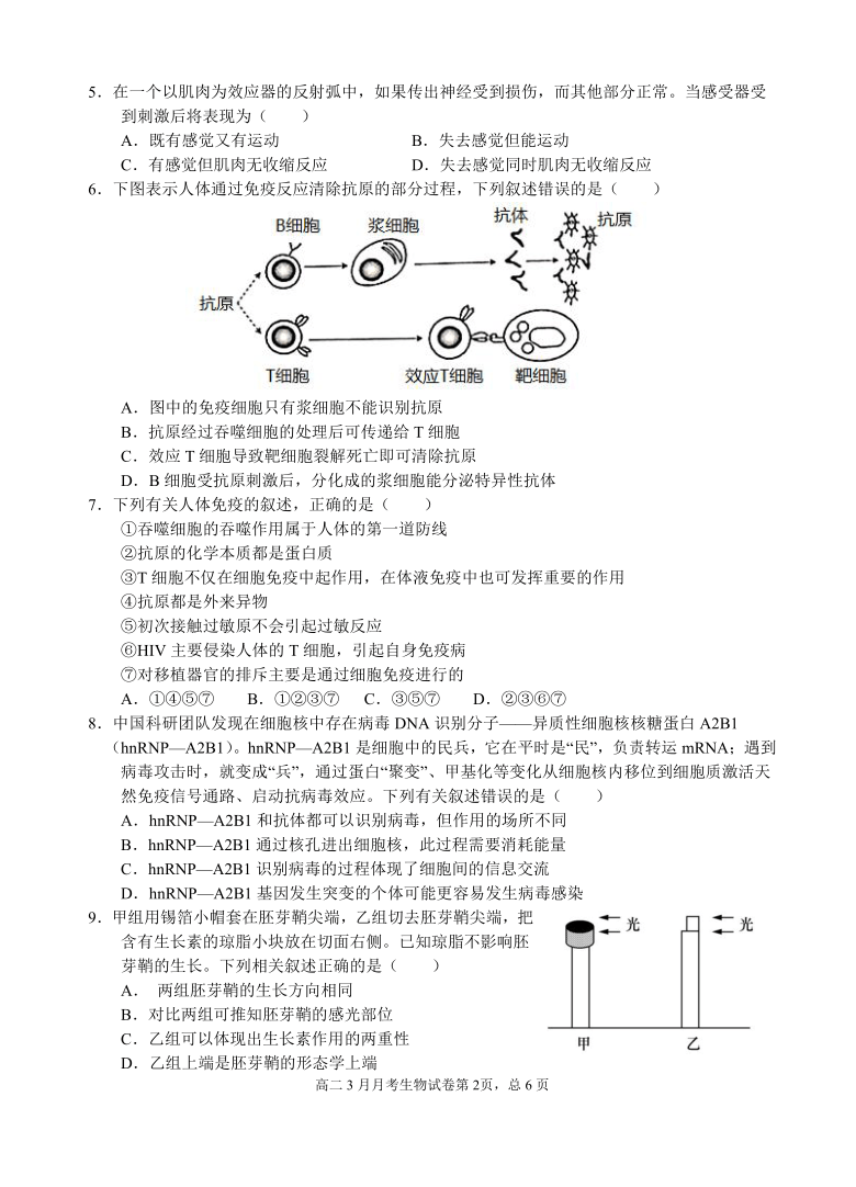 湖北省安陆市凤凰寄宿学校2020-2021学年高二下学期3月月考生物试题 Word版含答案