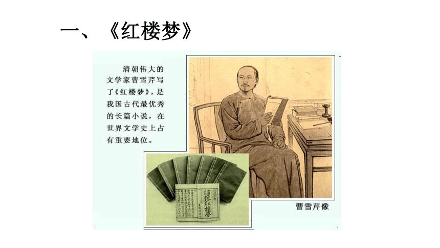 人教版历史七年级下册第21课课件《清朝前期的文学艺术》