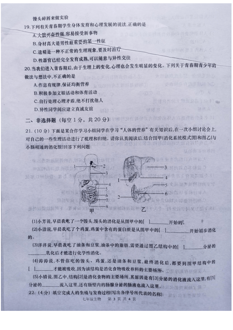 河南省南阳市南召县2020--2021学年下学期七年级第一次月考生物试卷（无答案）