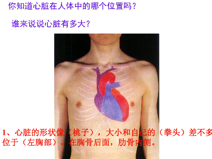 20、运动与心跳 课件（11张PPT）