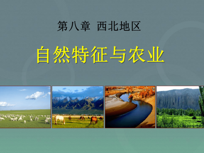 人教版（新课程标准）初中地理八年级下册第八章第一节《西北地区的自然特征与农业》课件（32张PPT）