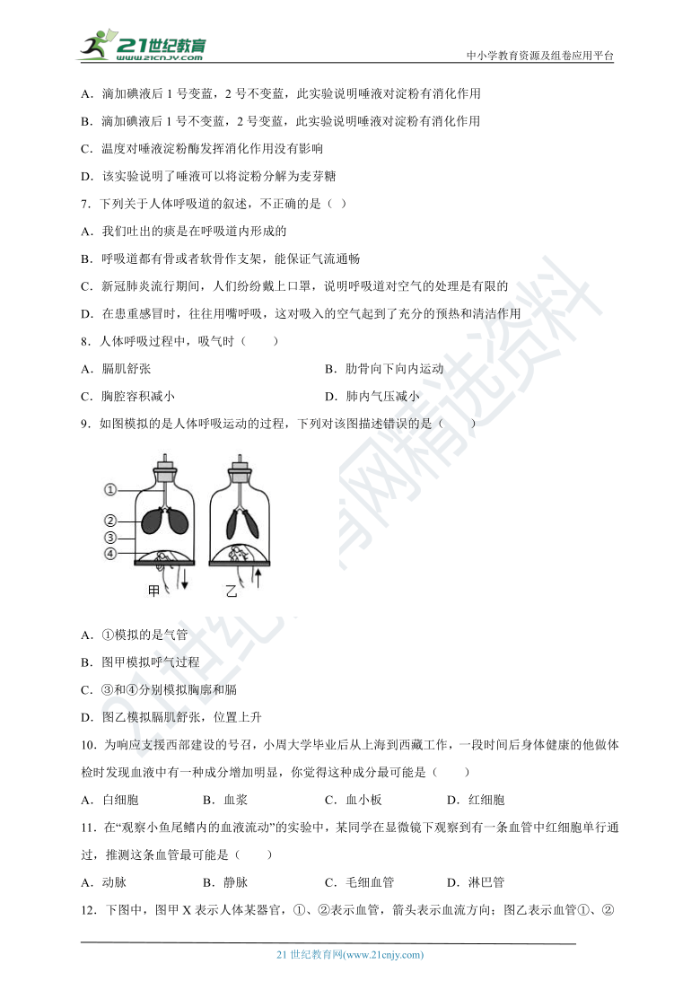 2020—2021学年人教版七年级下册生物期末考试试卷（2）（含答案）