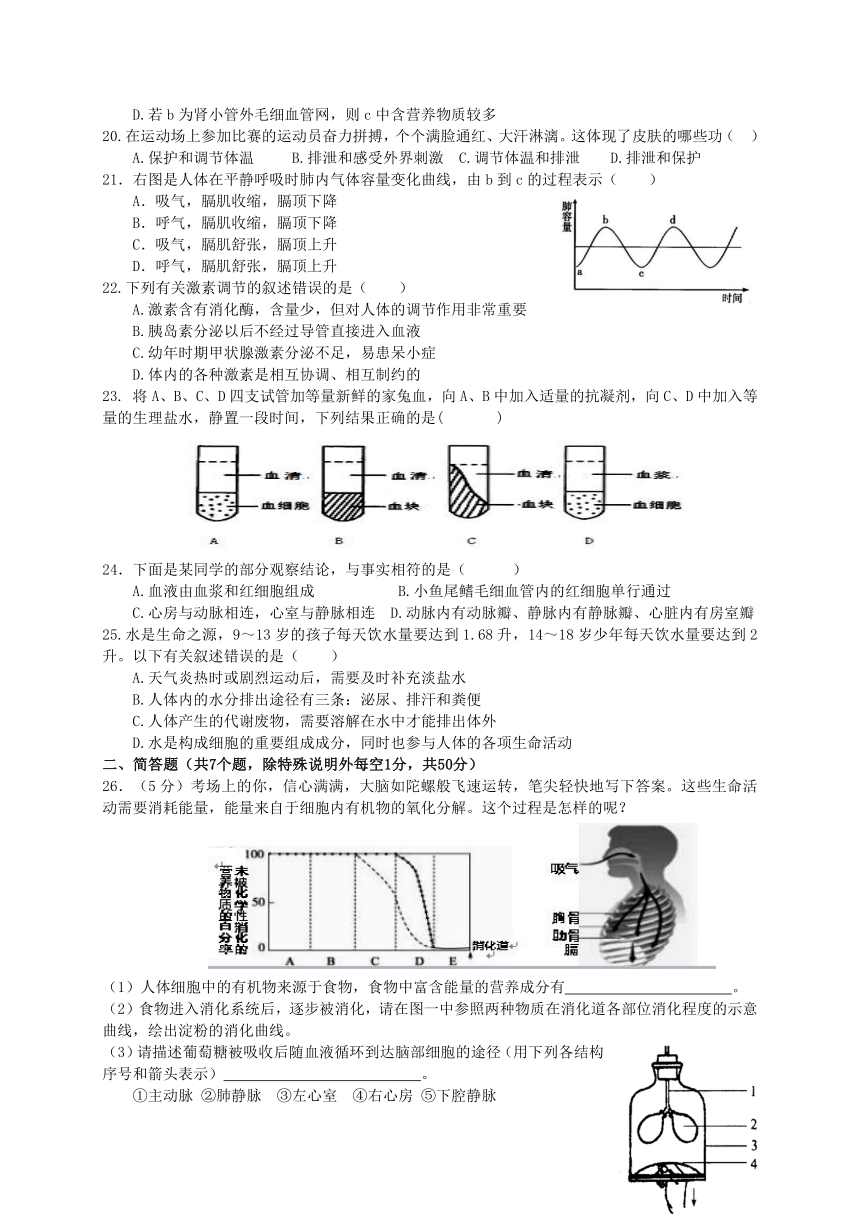 山东省滨州市北城英才学校2017-2018学年七年级下学期期中质量检测生物试题（word版，含答案）