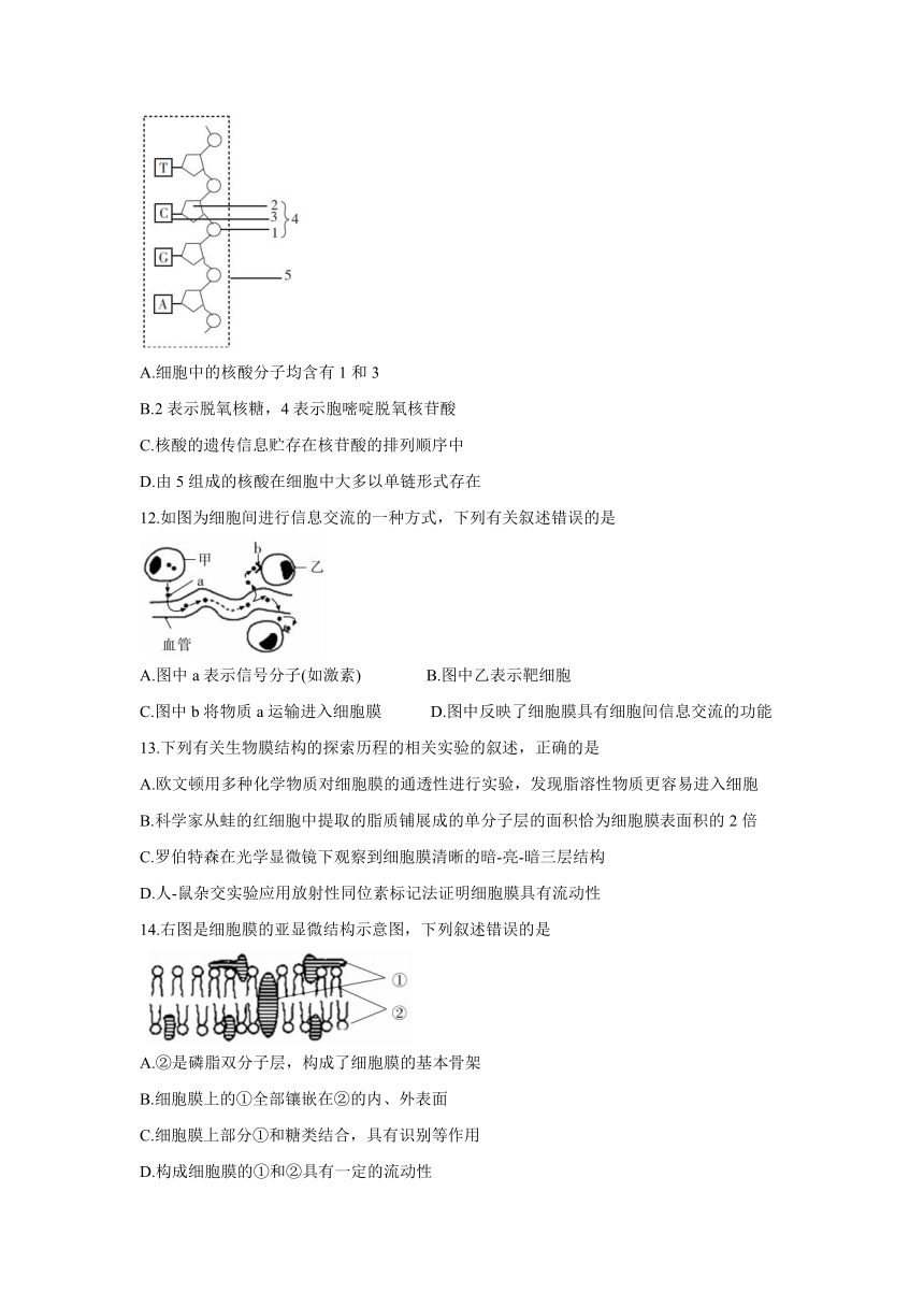 黑龙江省齐齐哈尔市五校联谊2021-2022学年高一上学期期中联考生物试题（Word版含答案）