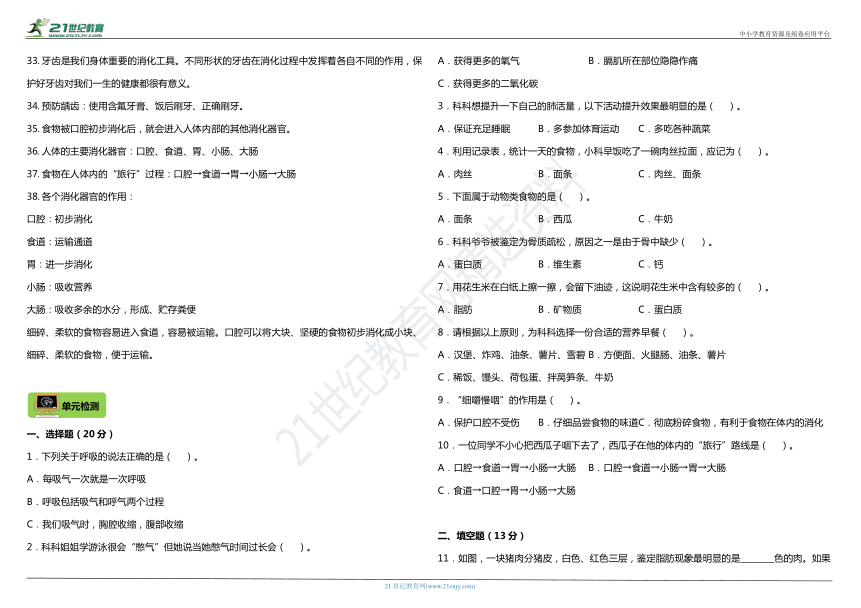 课件预览