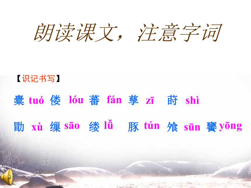 高中语文高一年级上华东师大版5.16《种树郭橐驼传》课件（49张）