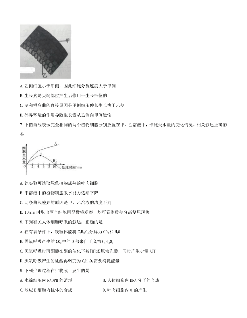 浙江省新高考研究联盟2018届高三第二次联考 生物