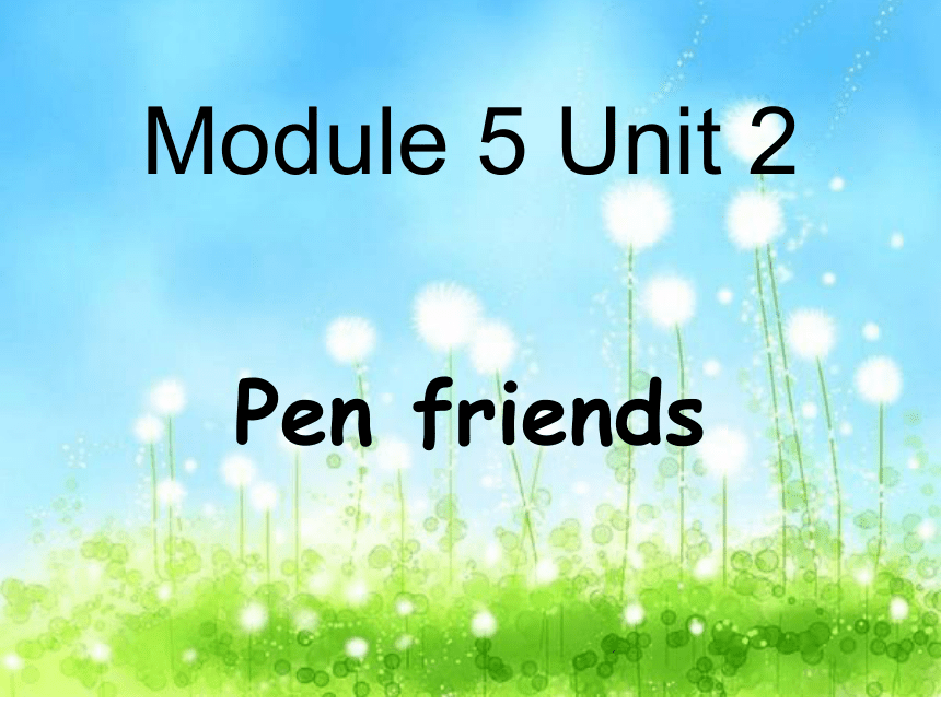 Unit 2 Pen friends