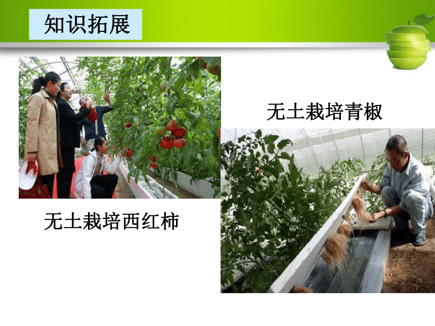 第一节 溶液的形成 课件（30张PPT）