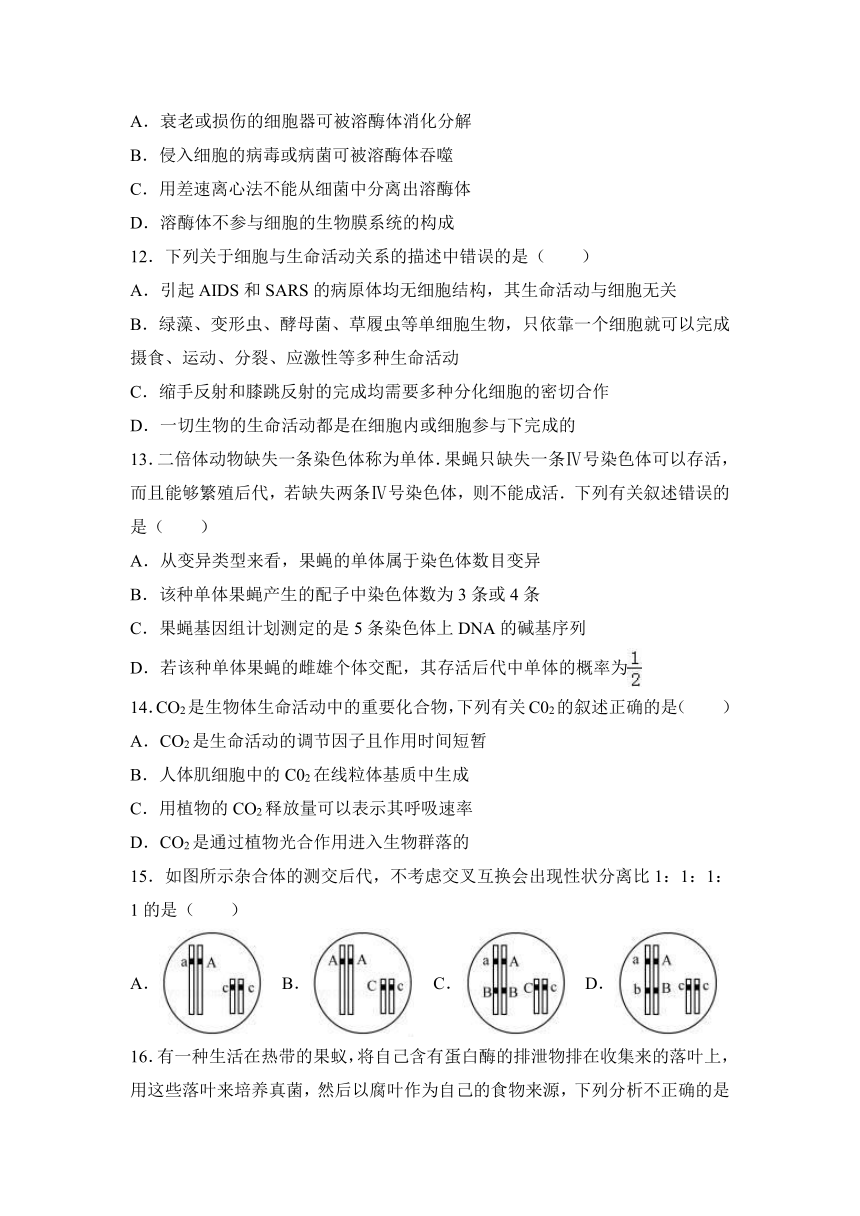 湖南省湘中名校教研教改联合体2017届高三（上）联考生物试卷（12月份）（解析版）