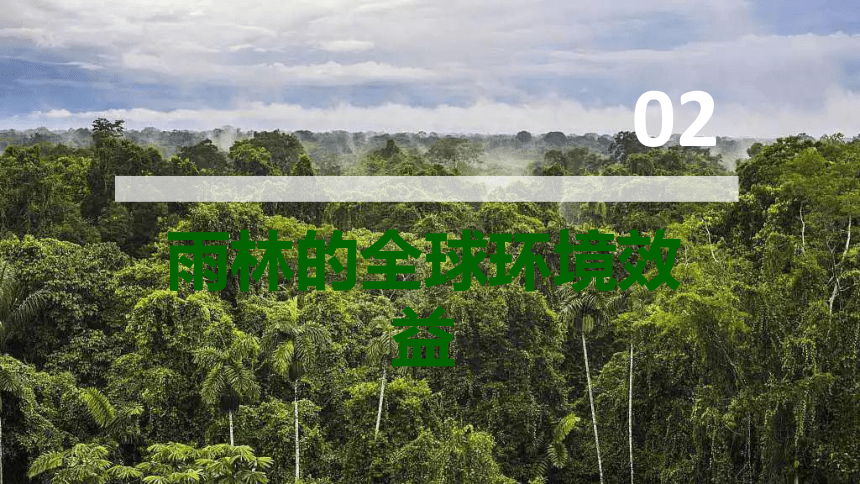 2.2 森林的开发和保护——以亚马孙热带雨林为例 课件（56张）
