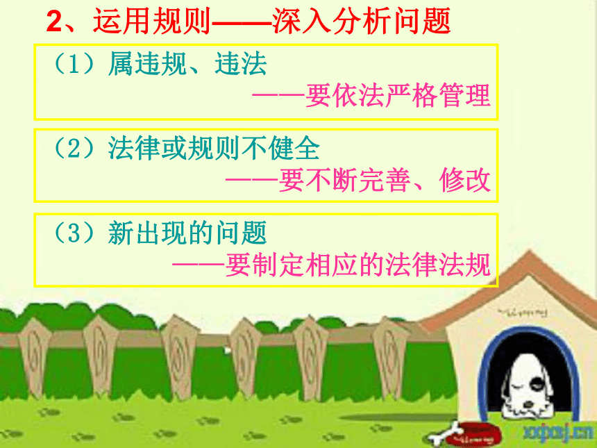 综合探究五 我是社会小主人（人教版七下）