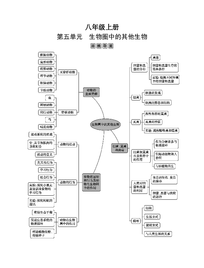 生物动物类群思维导图图片